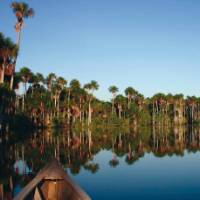 Cruising along the Amazon is the ideal way to spot wildlife | Bert Lozey