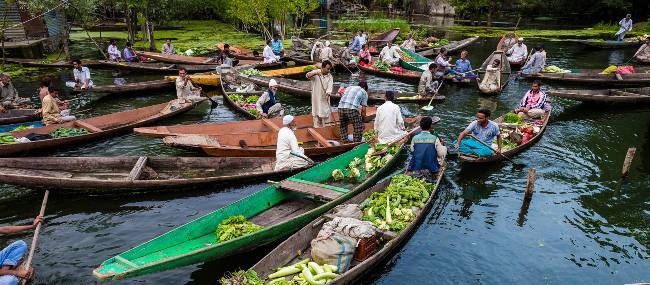 Life on Dal Lake, Kashmir | Richard I'Anson